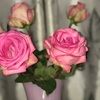 amarie81080